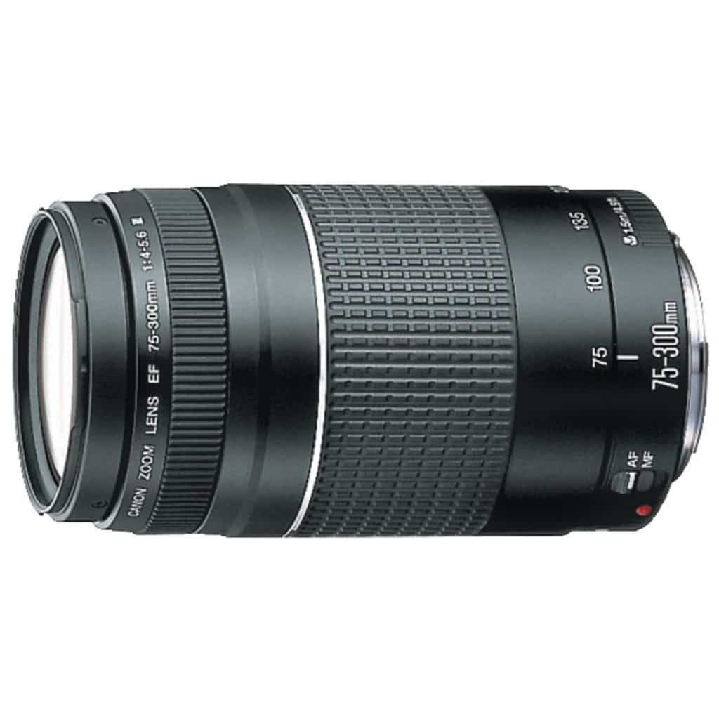 Canon EF 75-300mm f/4-5.6 III Telephoto Zoom Lens Canon EF 75-300mm f/4-5.6 III Telephoto Zoom Lens