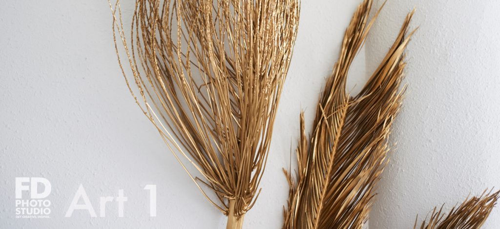 Rochanda Hill at FD Studios -Studio Photography, stage Art 1, Shot at FD Photo Studio, Rochanda Hill at FD Studios, rental stages, Photoshop, Photoshoot, photography services, photographer, modeling, Los Angeles, FD photo studio, fashion, DTLA, blog, !done, !Art1