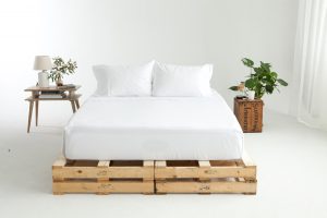 Authenticity 50 and  Jaxon the Pug -wrongron, Wrong Ron, Shot at FD Photo Studio, Ryan Bertroche, Rental Studio, Photoshop, Photoshoot, photography services, photographer, Photo Studio, Maggie Zulovic, Los Angeles, Jacquelyn Umof, Filming Location, FD photo studio, Ecommerce, DTLA, domestic manufacturer, blog, bedding, Authenticity 50, !done