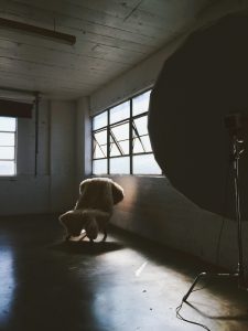 Aja Hitomi for BUNCHMAGAZINE -wrongron, Wrong Ron, stage D, Shot at FD Photo Studio, Rental Studio, Photoshop, Photoshoot, photography services, photographer, Photo Studio, Los Angeles, FD photo studio, DTLA, BunchMagazine, blog, Asia David, Aja Hitomi, !done, !D