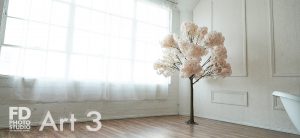 Victoria Fonseca  + Theolonius Henry -wrongron, Wrong Ron, Victoria Fonseca + Theolonius Henry, Victoria Fonseca @victoriafonseca, Theolonius Henry @fstopkiller7, Stage Art 3, Shot at FD Photo Studio, Rose wall, props, Photoshop, Photoshoot, photography services, photographer, FD photo studio, DTLA, blog, bathtub, Art Studios, !done, !Art3