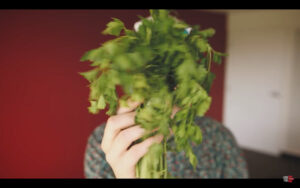 How to photograph food with Lensprotogo.com -Tutorial, Studio Photography, Shot at FD Photo Studio, rental stages, Photoshop, Photoshoot, Photography blog, paid photography, modeling, Los Angeles, Lensprotogo.com, How To, gear, gallery, food photography, food photographer, food photo, FD photo studio, fashion photographer, DTLA, blog