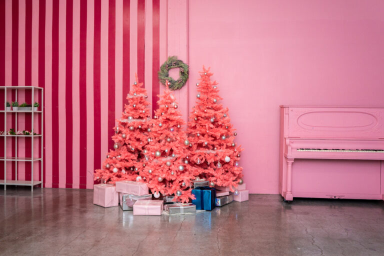 093025_Photo Studio with pink Christmas Tree in Los Angeles_Hill 51 093025_Photo Studio with pink Christmas Tree in Los Angeles_Hill 51