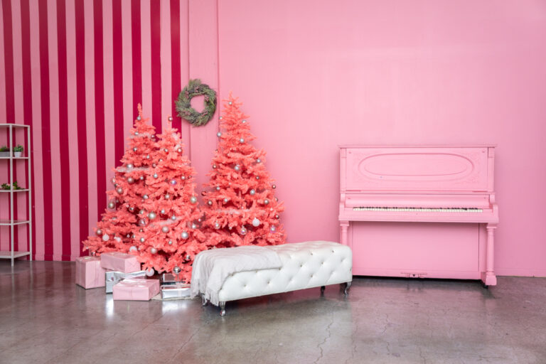 093025_Photo Studio with pink Christmas Tree in Los Angeles_Hill 55 093025_Photo Studio with pink Christmas Tree in Los Angeles_Hill 55