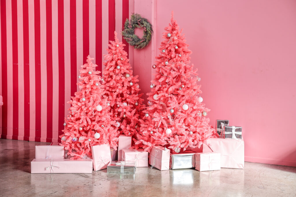 A List of Best Christmas Themed Photo Studios in Los Angeles in 2024 -