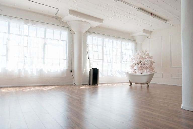 rose wall photo and video studio rental in Los Angeles rose wall photo and video studio rental in Los Angeles