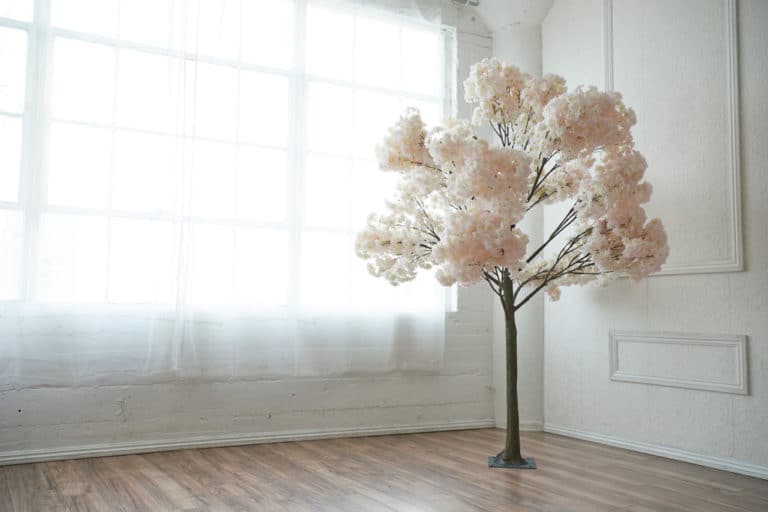 rose wall photo and video studio rental in Los Angeles rose wall photo and video studio rental in Los Angeles