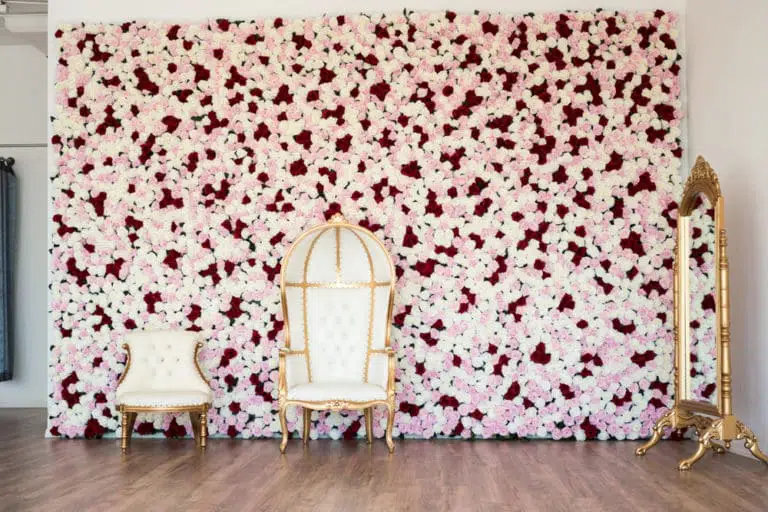 rose wall photo and video studio rental in Los Angeles