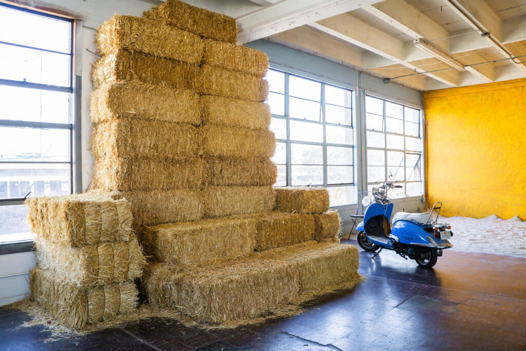 Best Halloween Photo Shoot Ideas in 2025 -