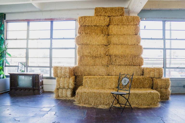 Jungle Themed photo Studio available for rental in Los Angeles