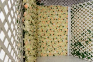 Stage UPGRADE: Rose Wall Corner With Lattice in Hill 1 -Studio News, stage update, Shoot Location, rose wall corner with lattice, Rental Studio, Renovation, queen wooden bed, Photoshop, Photoshoot, photography services, photographer, Photo Studio, new stage, natural light studio, Los Angeles, Hill Location, glossy white floor, fine-mesh baldachin, Filming Location, FD photo studio, DTLA, ambient light studio, 8'x8' metallic silver texture, 8'x8' metallic gold texture, !done