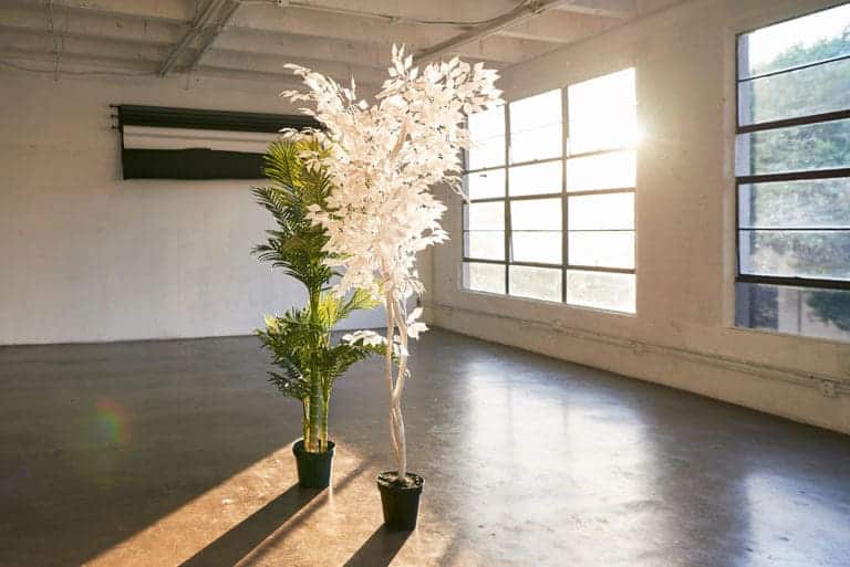 Studio Gallery Studio Gallery