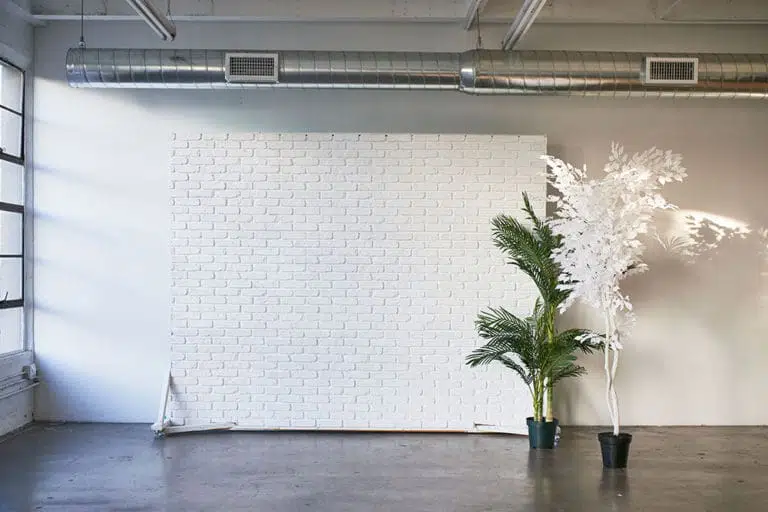 Photo & video natural light studio rental in Los Angeles