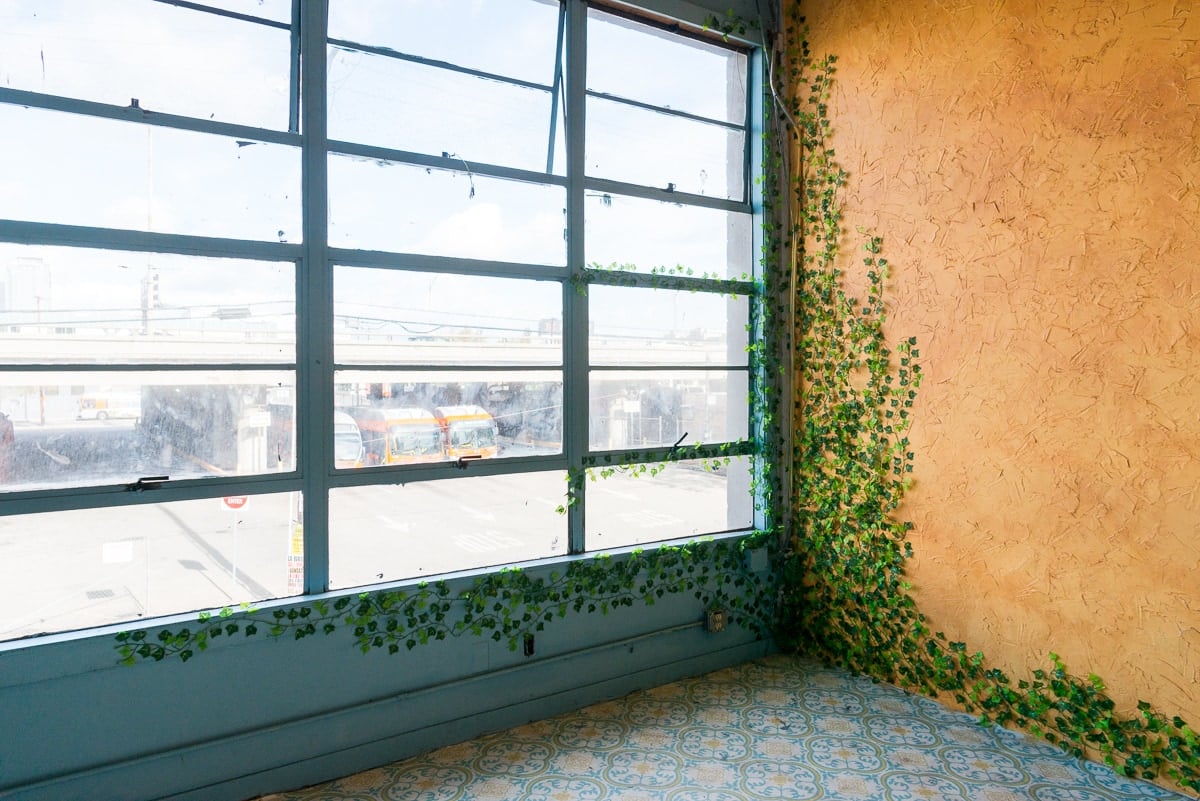 Stage UPGRADE: Creeper/ivy plant in Hill 4 -woven chairs, white stained staircase, Tropical Jungle leaf wall, textured floor, Studio News, stage update, Shoot Location, Rental Studio, Renovation, Photoshop, Photoshoot, photography services, photographer, Photo Studio, pattern curtain, new stage, natural light studio, mosaic floor photoshoot, mosaic floor, Los Angeles, Hill Location, Hill 4, Filming Location, FD photo studio, DTLA, creeper/ivy plant, ambient light studio, !done