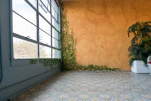 Stage UPGRADE: Creeper/ivy plant in Hill 4 -woven chairs, white stained staircase, Tropical Jungle leaf wall, textured floor, Studio News, stage update, Shoot Location, Rental Studio, Renovation, Photoshop, Photoshoot, photography services, photographer, Photo Studio, pattern curtain, new stage, natural light studio, mosaic floor photoshoot, mosaic floor, Los Angeles, Hill Location, Hill 4, Filming Location, FD photo studio, DTLA, creeper/ivy plant, ambient light studio, !done