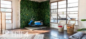 Come to our Creative Potluck! -Workshop, Studio News, Rental Studio, potluck, Photoshop, Photoshoot, photography services, photography event, photographer, networking event, Los Angeles event, Los Angeles, Hill 1, Group Photoshoot, FD photo studio, DTLA, creative potluck, !done