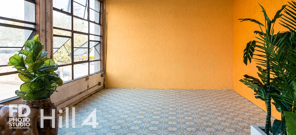 Jungle Themed photo Studio available for rental in Los Angeles