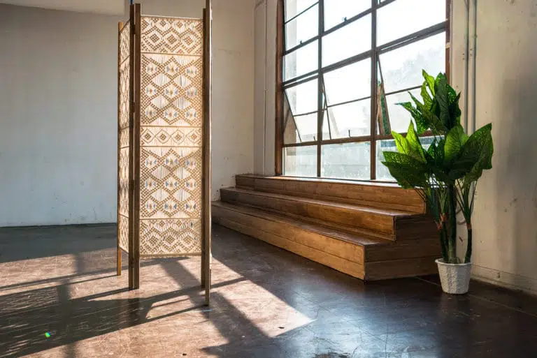 Jungle Themed photo Studio available for rental in Los Angeles