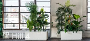 Maryjoy Paguirigan In The Jungle -wrongron, Wrong Ron, Studio Photography, Shot at FD Photo Studio, rental stages, Photoshop, Photoshoot, photography services, photographer, Model, Maryjoy Paguirigan In The Jungle, Los Angeles, FD photo studio, DTLA, blog, beauty shoot, @pixxbyanne, @maaryjoy_, !Hill4, !done