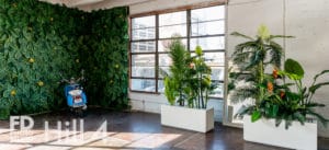 Sahar Golestani by Suzana Palyan -Suzana Palyan, Studio Photography, Shot at FD Photo Studio, Sahar Golestani by Suzana Palyan, Sahar Golestani, rental stages, Photoshop, Photoshoot, photography services, photographer, Model, Los Angeles, FD photo studio, DTLA, blog, beauty shoot, !Hill4, !done