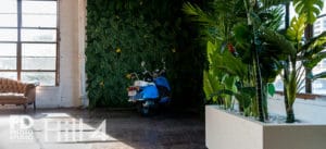 Twin Shoot For Jewelry Line -wrongron, Wrong Ron, Twin Shoot For Jewelry Line, Studio Photography, Shot at FD Photo Studio, rental stages, Photoshop, Photoshoot, photography services, photographer, Model, mcconnelltwins, Los Angeles, filthjewelry, Filth Jewelry Line, FD photo studio, DTLA, blog, beauty shoot, !Hill4, !done