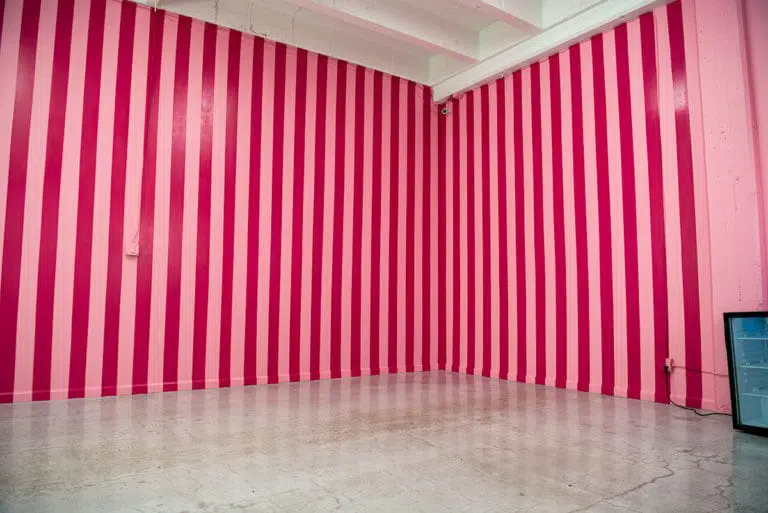 Carnation and gloss dark pink stripped corner available for photo and video photo studio rental in Los Angeles