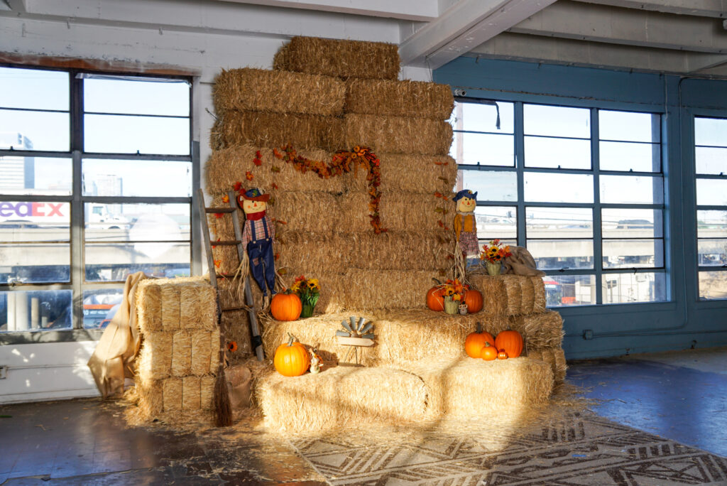 Photo Studio Halloween Makeover: Hauntingly Creative Setups in LA -