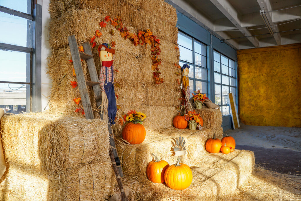 Photo Studio Halloween Makeover: Hauntingly Creative Setups in LA -