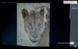 Get Cropping! With David Bergman and ADORAMA TV -Tutorial, Studio Photography, Shot at FD Photo Studio, rental stages, Photoshop, Photoshoot, photography cropping, Photography blog, paid photography, modeling, Los Angeles, How To, gear, gallery, frame, FD photo studio, fashion photographer, DTLA, David Bergman, cropping, crop, blog, Adorama TV