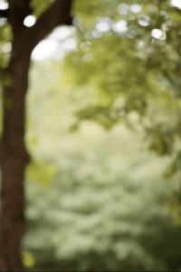 How To Shoot multi-shot technique "Brenizer Method" by David Bergman -Tutorial, Studio Photography, Shot at FD Photo Studio, rental stages, quick tips, Photoshop, Photoshoot, Photography blog, paid photography, modeling, Los Angeles, How To, gear, gallery, FD photo studio, fashion photographer, DTLA, brenizer method, bokeh panorama, blog, Adorama TV, 85mm