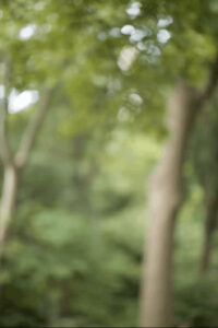 How To Shoot multi-shot technique "Brenizer Method" by David Bergman -Tutorial, Studio Photography, Shot at FD Photo Studio, rental stages, quick tips, Photoshop, Photoshoot, Photography blog, paid photography, modeling, Los Angeles, How To, gear, gallery, FD photo studio, fashion photographer, DTLA, brenizer method, bokeh panorama, blog, Adorama TV, 85mm