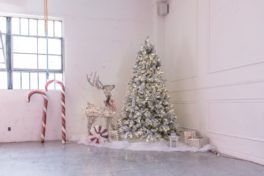 Hill 5 Christmas 2018