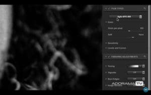 Become Better Photographer: How To Shoot High Contrast Natural Light Portraits with Mark Wallace -