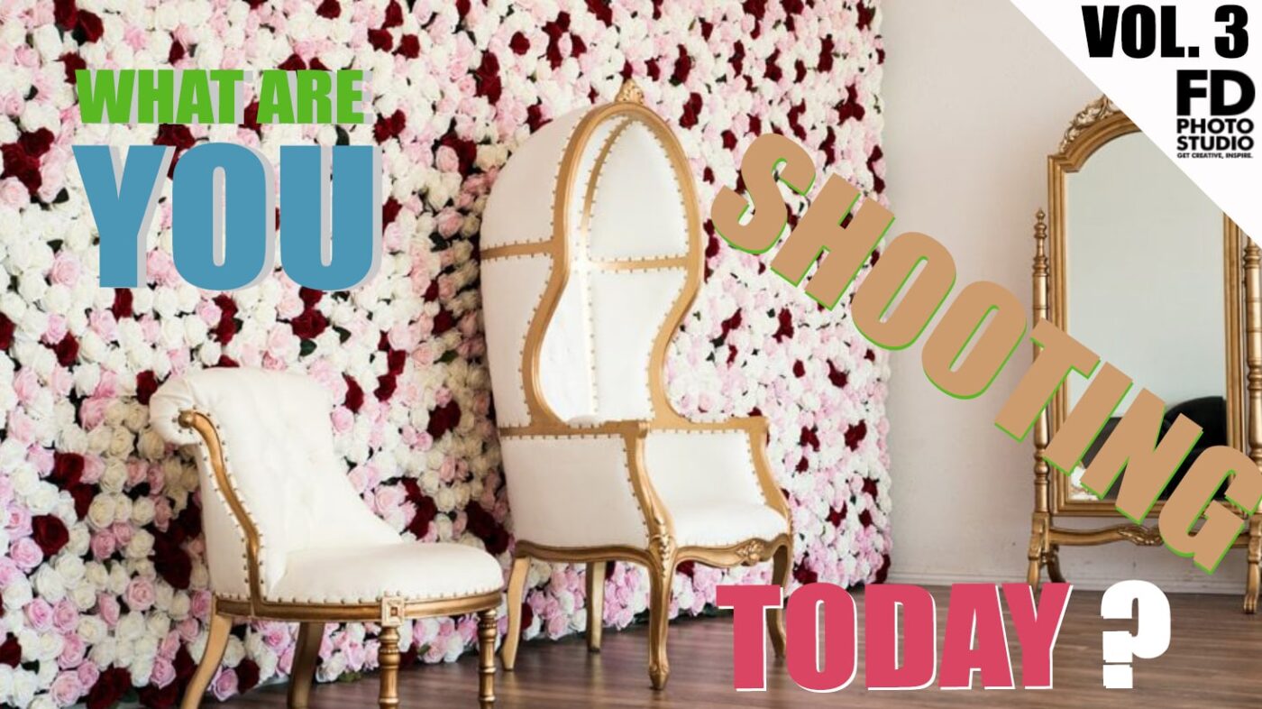 WHAT ARE YOU SHOOTING TODAY? We Asked 4 Photographers Ep. 3