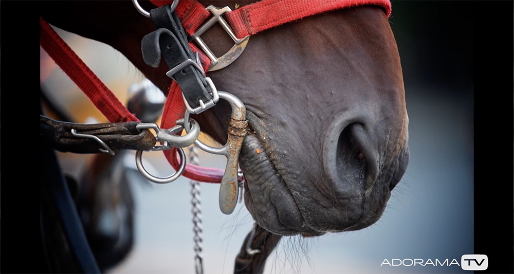 Become Better Photographer: "Don't Forget the Details" with David Bergman -Tutorial, Studio Photography, Shot at FD Photo Studio, rental stages, quick tips, Photoshop, Photoshoot, Photography blog, paid photography, modeling, Los Angeles, How To, gear, gallery, FD photo studio, fashion photographer, DTLA, David Bergman, blog, Adorama TV