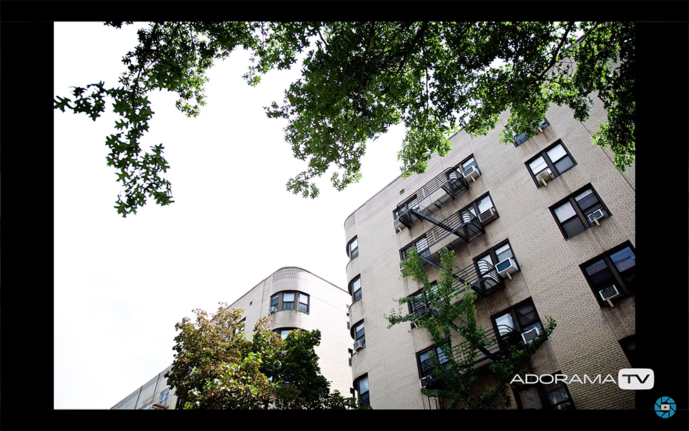 Become Better Photographer: Using a Histogram with David Bergman -Tutorial, Studio Photography, Shot at FD Photo Studio, rental stages, quick tips, Photoshop, Photoshoot, Photography blog, paid photography, modeling, Los Angeles, How To, Histogram, gear, gallery, FD photo studio, fashion photographer, DTLA, David Bergman, blog, Adorama TV