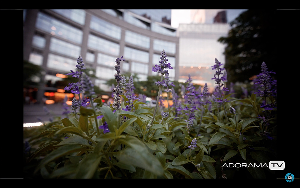 Become Better Photographer: Foreground Focus with David Bergman -Tutorial, Studio Photography, Shot at FD Photo Studio, rental stages, quick tips, Photoshop, Photoshoot, Photography blog, paid photography, modeling, Los Angeles, How To, gear, gallery, foreground focus, FD photo studio, fashion photographer, DTLA, David Bergman, blog, Adorama TV