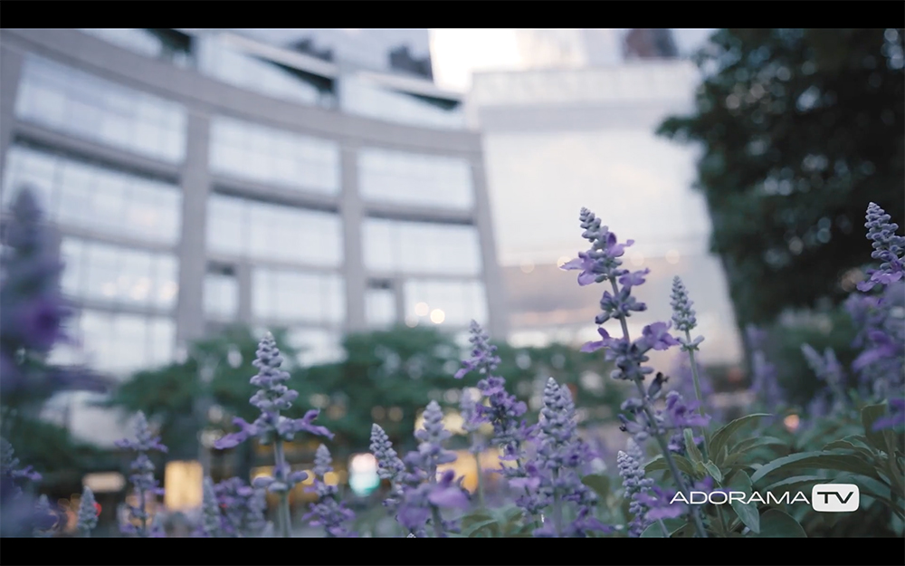 Become Better Photographer: Foreground Focus with David Bergman -Tutorial, Studio Photography, Shot at FD Photo Studio, rental stages, quick tips, Photoshop, Photoshoot, Photography blog, paid photography, modeling, Los Angeles, How To, gear, gallery, foreground focus, FD photo studio, fashion photographer, DTLA, David Bergman, blog, Adorama TV