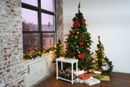 Christmas Tree in Astoria 10 NYC
