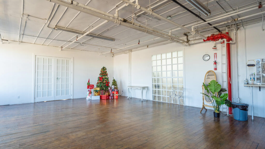 Discover the Best NY Photo Studios with Festive Christmas Decorations -