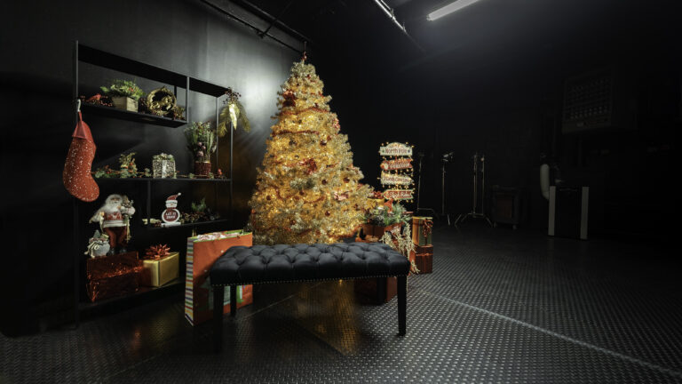 Astoria 4 - Blackout photo studio with Christmas tree, black walls and ceiling located in Astoria, Queens, NY_02