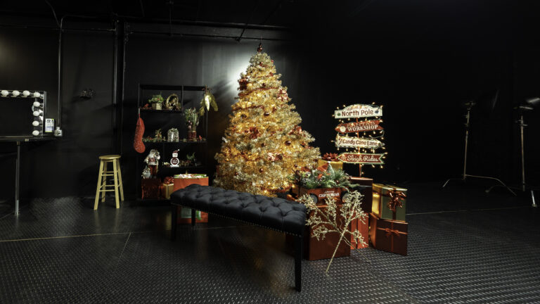 Astoria 4 - Blackout photo studio with Christmas tree, black walls and ceiling located in Astoria, Queens, NY_01