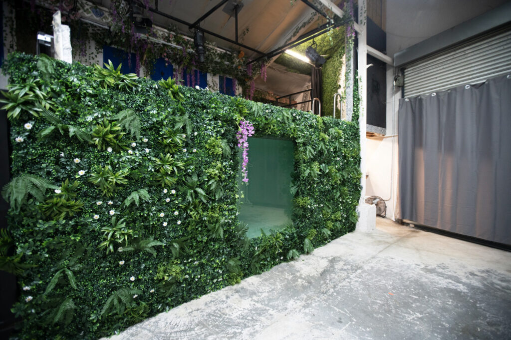 High-Key and Low-Key Photography: Lighting, Mood, and when to use -