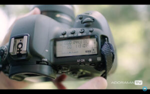 Become Better Photographer: Nifty Fifty with David Bergman -Tutorial, Studio Photography, Shot at FD Photo Studio, rental stages, quick tips, Photoshop, Photoshoot, Photography blog, paid photography, modeling, Los Angeles, How To, gear, gallery, FD photo studio, fashion photographer, DTLA, David Bergman, blog, Become Better Photographer: Nifty Fifty with David Bergman, Adorama TV