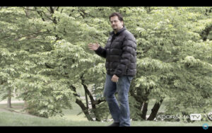 Become Better Photographer: Metering Madness with David Bergman -Tutorial, Studio Photography, Shot at FD Photo Studio, rental stages, quick tips, Photoshop, Photoshoot, Photography blog, paid photography, modeling, Los Angeles, How To, gear, gallery, FD photo studio, fashion photographer, DTLA, David Bergman, blog, Become Better Photographer: Metering Madness with David Bergman, Adorama TV