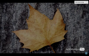 Become Better Photographer: Fill the Frame  with David Bergman -Tutorial, Studio Photography, Shot at FD Photo Studio, rental stages, quick tips, Photoshop, Photoshoot, Photography blog, paid photography, modeling, Los Angeles, How To, gear, gallery, FD photo studio, fashion photographer, DTLA, David Bergman, blog, Become Better Photographer: Fill the Frame with David Bergman, Adorama TV