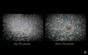 Become Better Photographer: Polarizers with David Bergman -Tutorial, Studio Photography, Shot at FD Photo Studio, rental stages, quick tips, Photoshop, Photoshoot, Photography blog, paid photography, modeling, Los Angeles, How To, gear, gallery, FD photo studio, fashion photographer, DTLA, David Bergman, blog, Become Better Photographer: Polarizers with David Bergman, Adorama TV