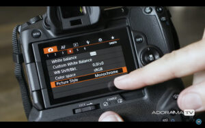 Become Better Photographer: RAW Picture Styles with David Bergman -Tutorial, Studio Photography, Shot at FD Photo Studio, rental stages, quick tips, Photoshop, Photoshoot, Photography blog, paid photography, modeling, Los Angeles, How To, gear, gallery, FD photo studio, fashion photographer, DTLA, David Bergman, blog, Become Better Photographer: RAW Picture Styles with David Bergman, Adorama TV