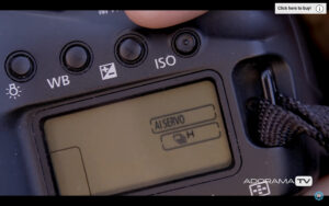 Become Better Photographer: Auto Focus Modes with David Bergman -Tutorial, Studio Photography, Shot at FD Photo Studio, rental stages, quick tips, Photoshop, Photoshoot, Photography blog, paid photography, modeling, Los Angeles, How To, gear, gallery, FD photo studio, fashion photographer, DTLA, David Bergman, blog, Become Better Photographer: Auto Focus Modes with David Bergman, Adorama TV