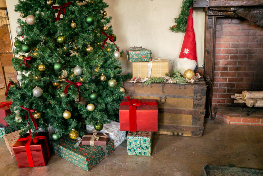 Top Christmas-Decorated Photo Studios in Los Angeles in 2025 -